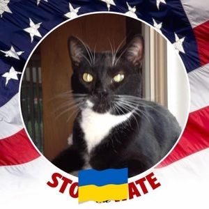 Meet your Posher, Carol